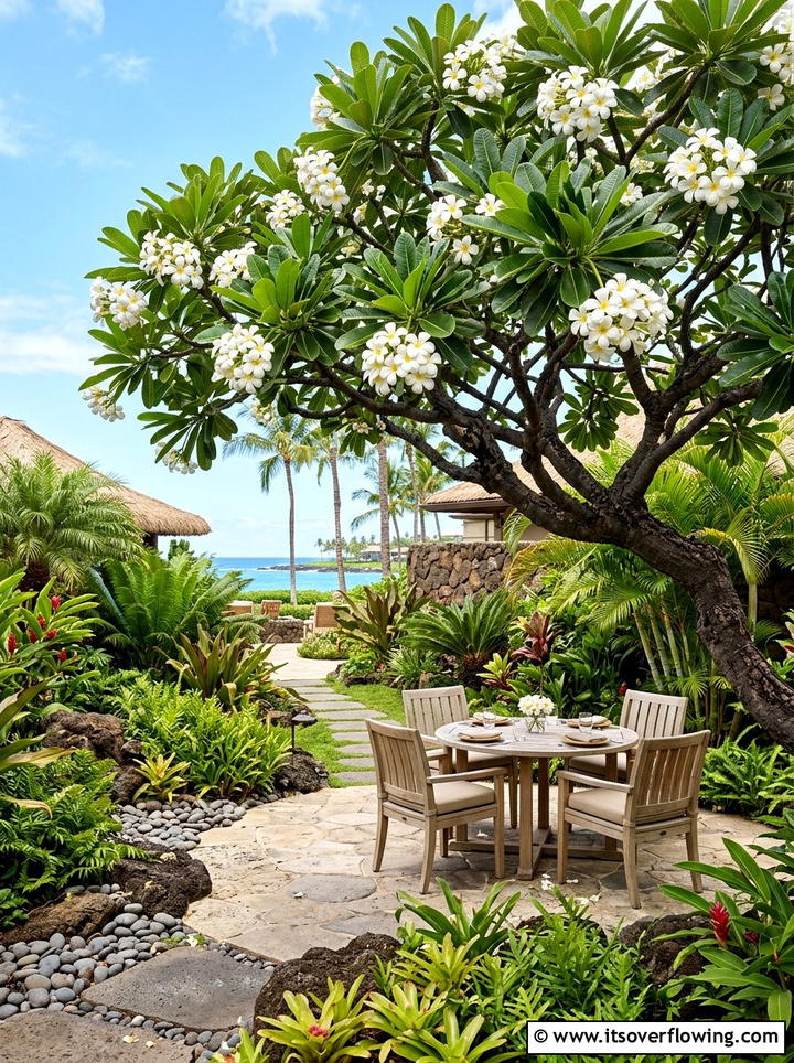 Plumeria Tree Patio - 25 creative garden ideas with tropical foliage