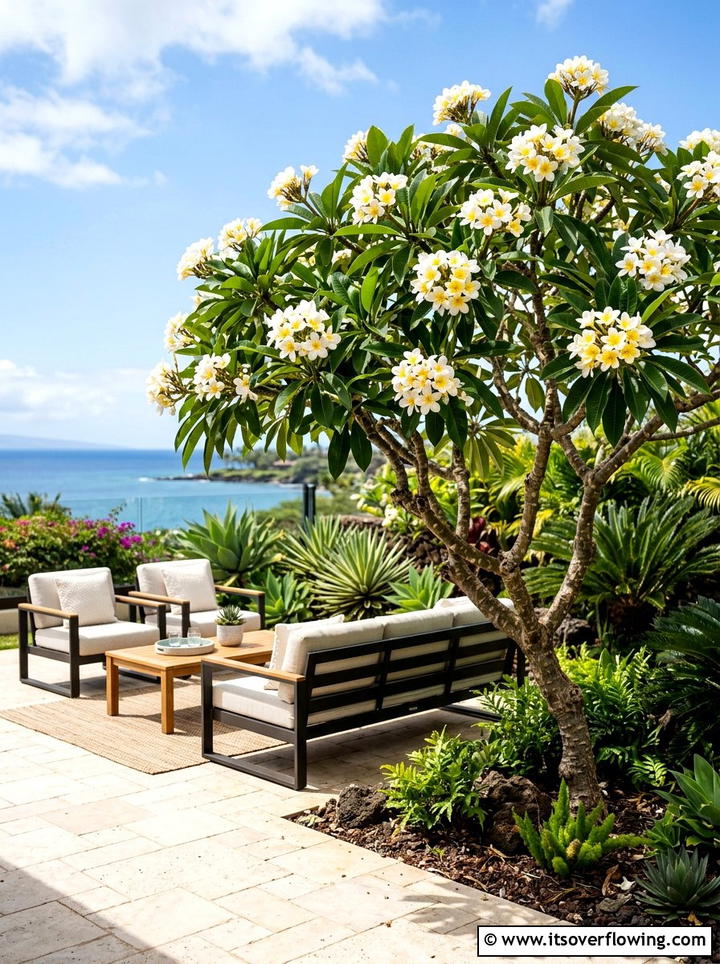 Plumeria Tree Patio - 25 backyard ideas with tropical plants
