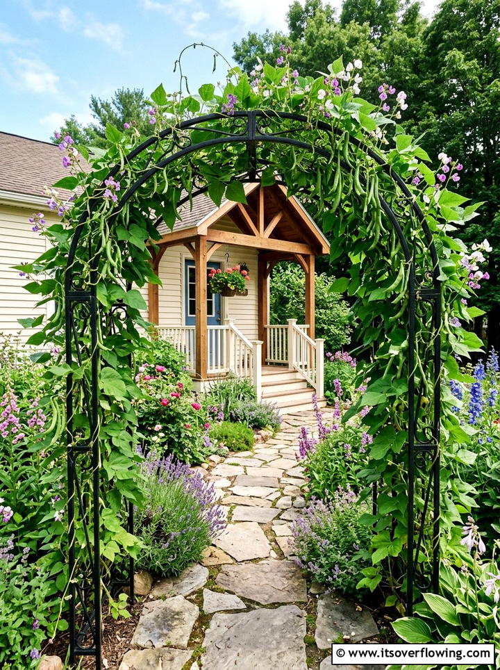 Pole Bean Entry Arch - 25 front porch ideas with edible plants