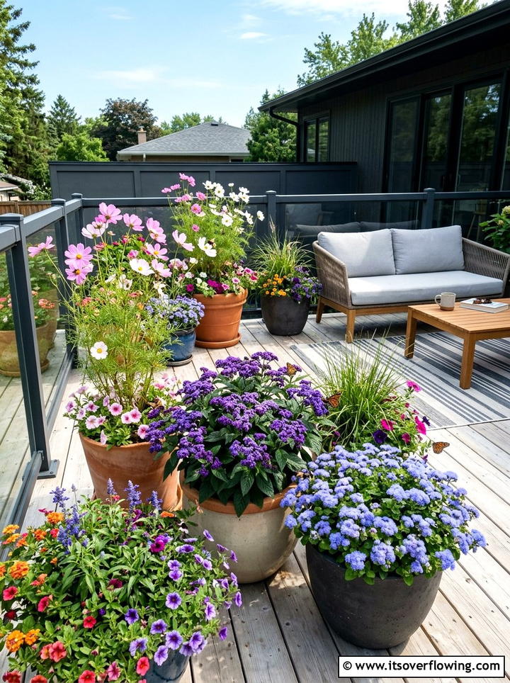 Pollinator container garden - 25 small garden ideas with pollinator plants