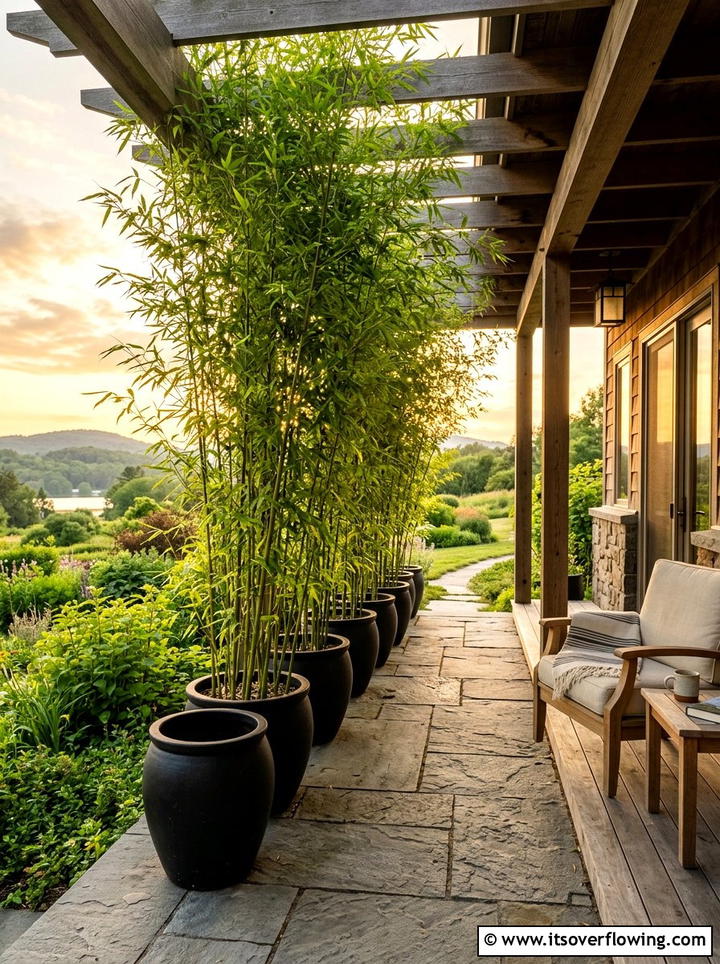 Potted Bamboo - 25 front porch ideas with privacy screens