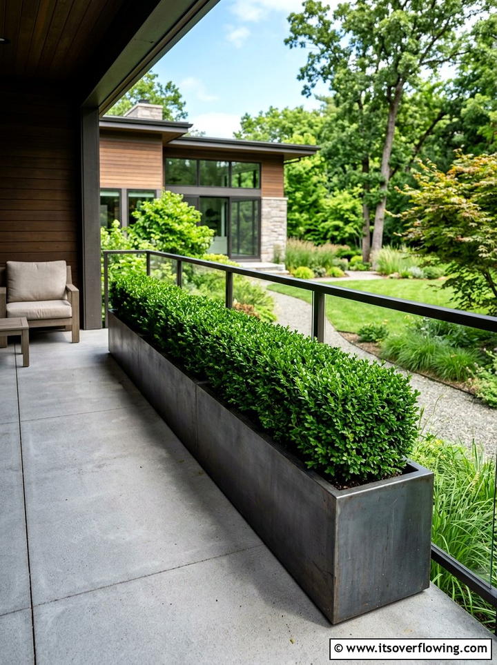 Potted Boxwood Hedge - 25 front porch ideas with real plants