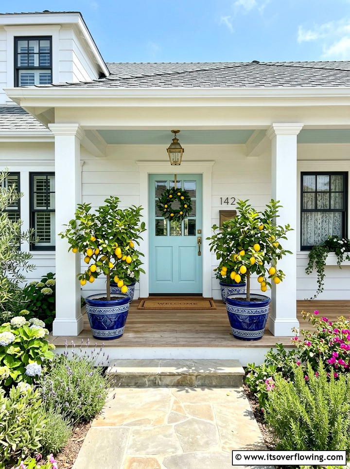 Potted Citrus Trees - 25 front porch ideas for south facing porch
