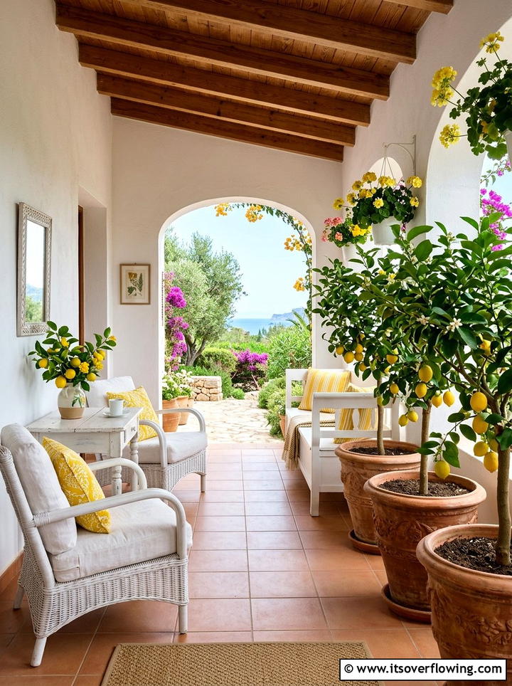 Potted Citrus Trees - 25 front porch ideas for hot climates