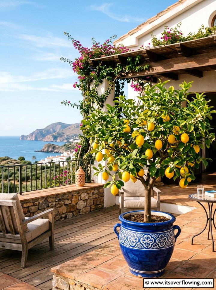 Potted Deck Tree - 25 garden design ideas for decks
