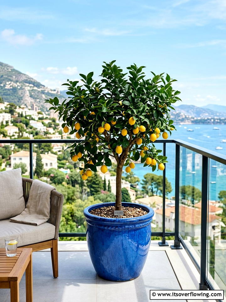 Potted Fruit Tree - 25 small garden ideas for apartments