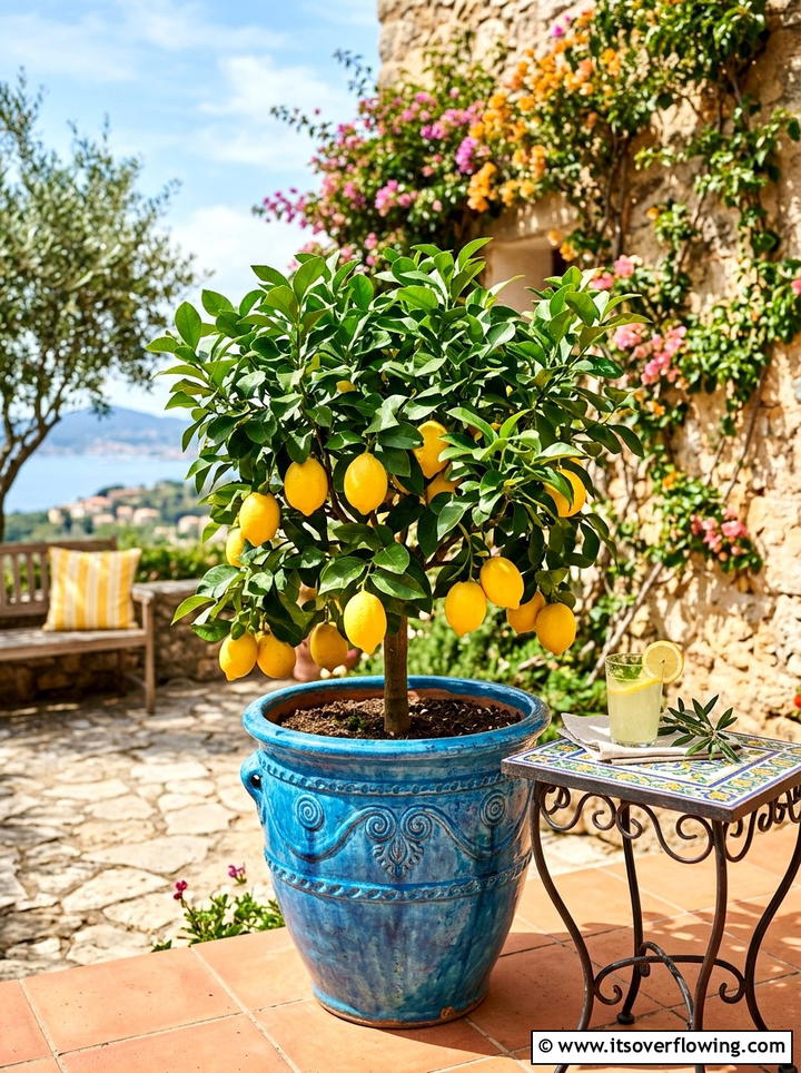 Potted Fruit Tree - 25 small garden ideas for balcony