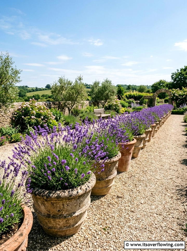 Potted Lavender For Breeze - 25 small garden ideas for windy balconies