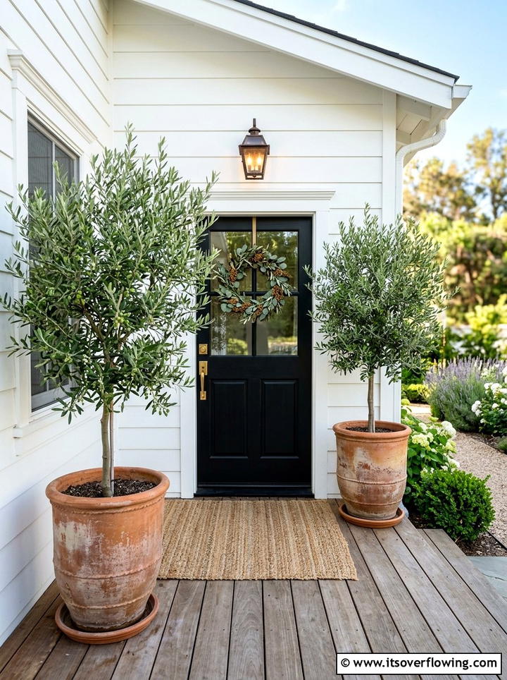 Potted Olive Tree Porch - 25 front porch ideas with farmhouse style