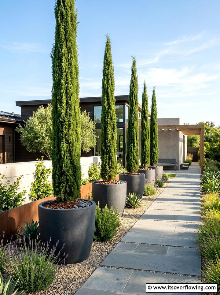 Potted Tree Placement - 25 creative garden ideas for narrow spaces
