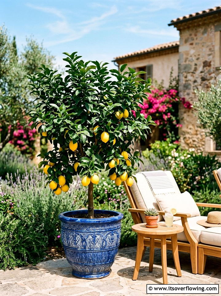 Potted Tree - 25 garden ideas for summer