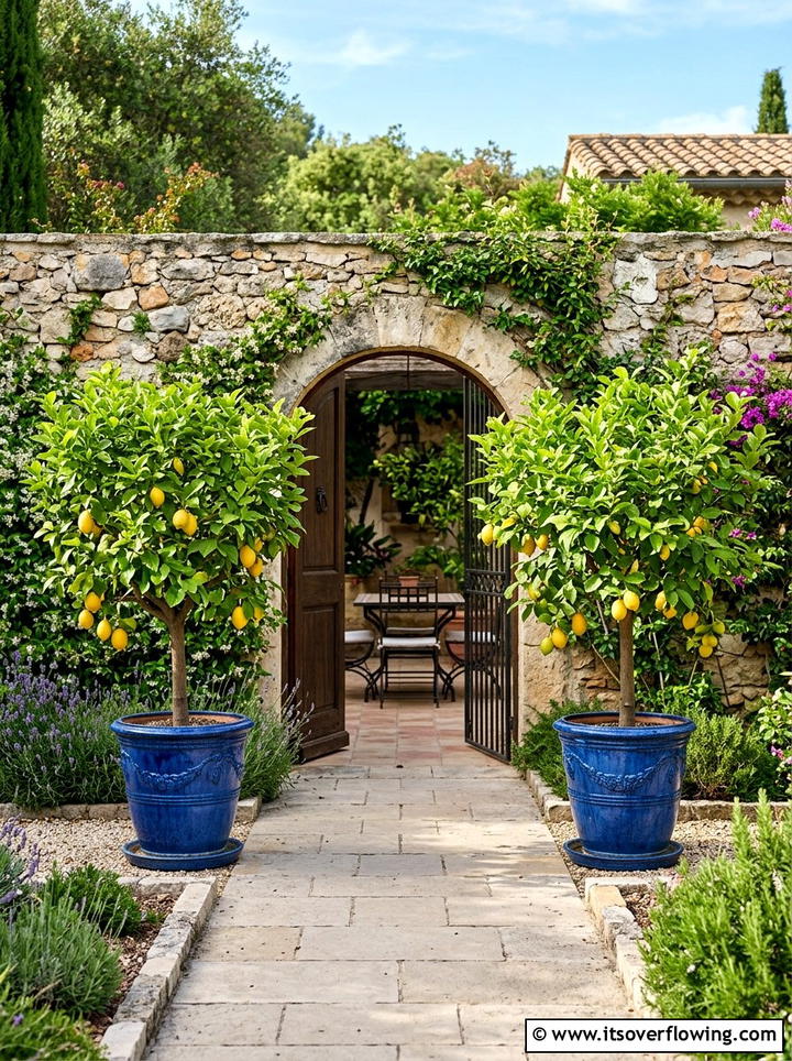 Potted Trees - 25 backyard decorating ideas with patio decor
