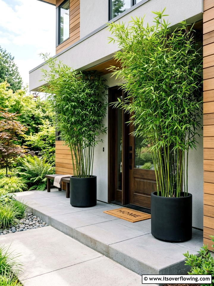 Potted bamboo for front porch - 25 front porch decor ideas with greenery