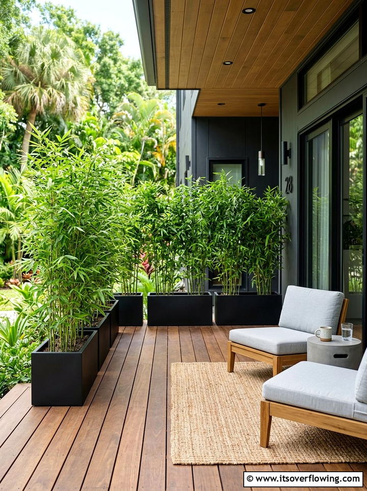 Potted bamboo - 25 front porch decor ideas with year round greenery
