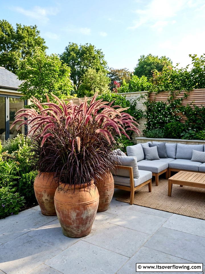 Potted ornamental grass for patio - 25 garden ideas with ornamental grasses