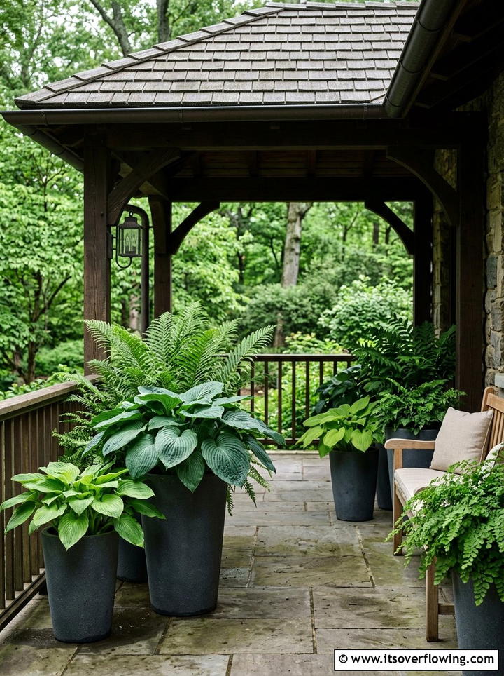 Potted plants for shade - 25 front porch decor ideas for summer