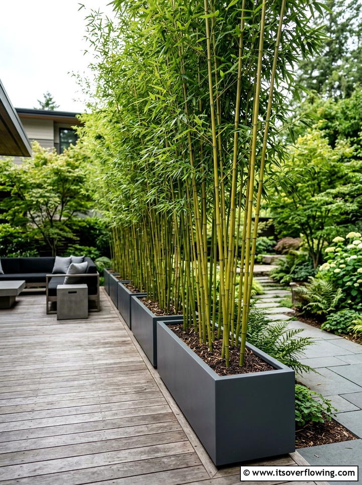 Privacy Bamboo Screen - 25 garden ideas for balconies