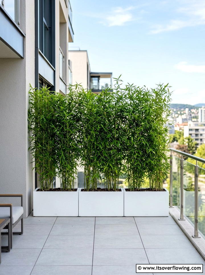 Privacy Screen Planter - 25 backyard ideas with container garden