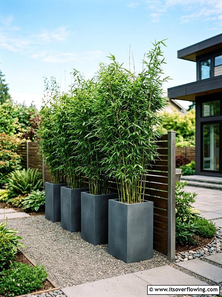 Privacy Screen Pot Grouping - 25 small garden ideas with container clusters
