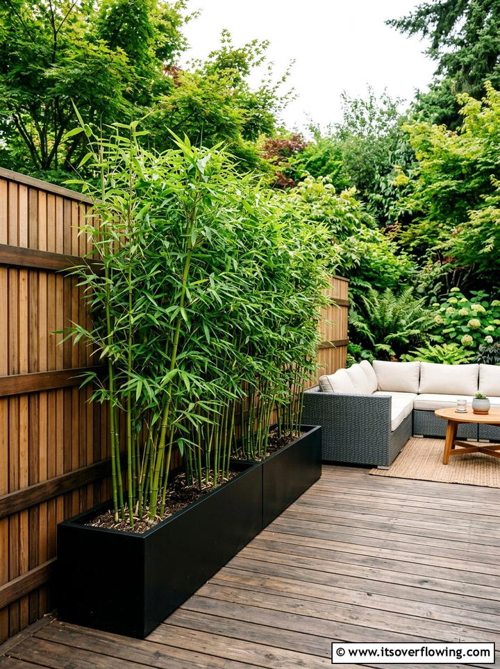 Privacy screen with bamboo - 25 cheap garden ideas with low maintenance plants