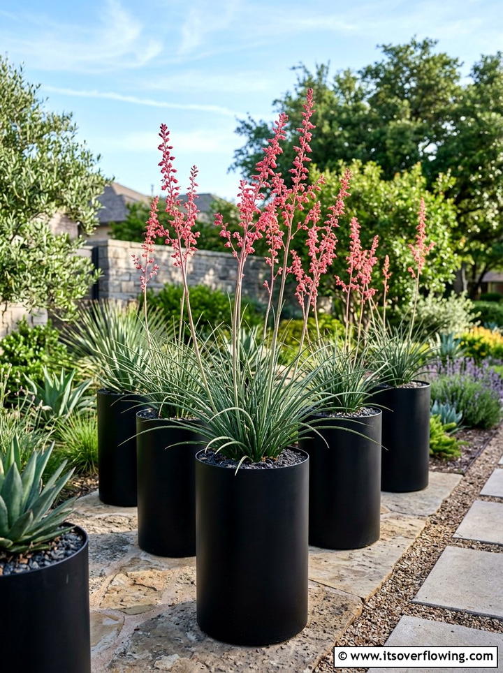 Red Yucca In Sleek Black Planters - 25 front porch ideas with drought tolerant plants
