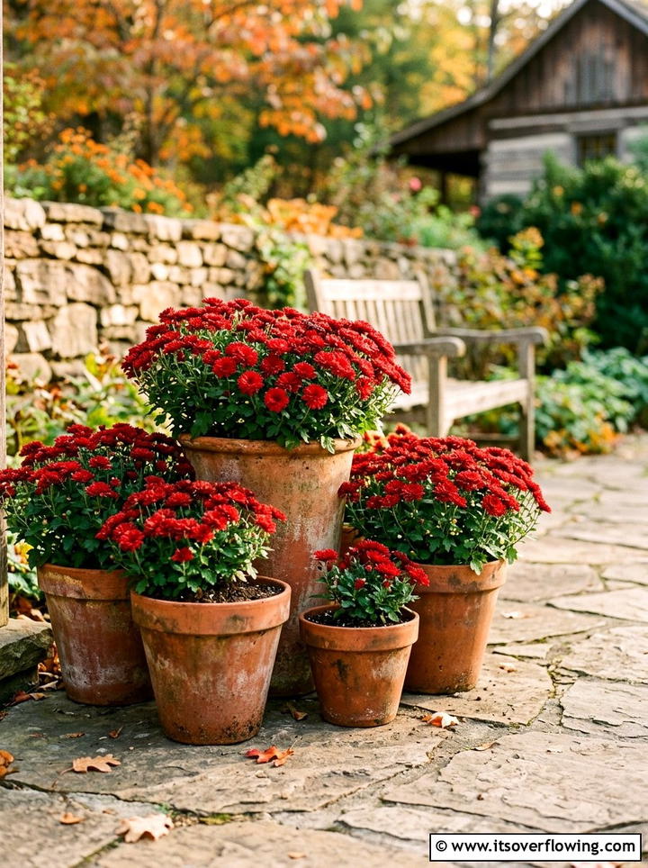 Red mums in terracotta pots - 25 front porch ideas with mums