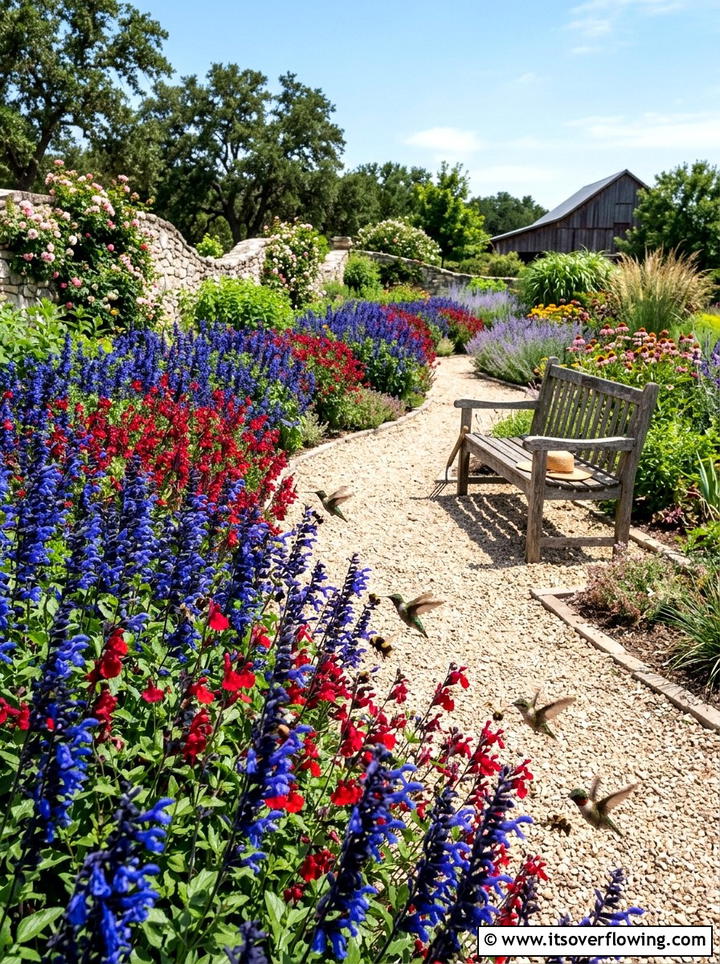 Salvia Garden Beds - 25 garden ideas for sandy soil