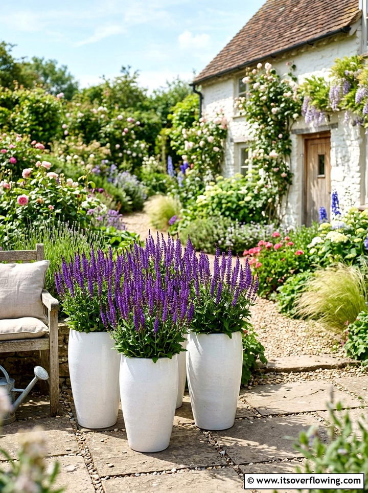 Salvia plants for front porch - 25 front porch ideas with sun loving plants