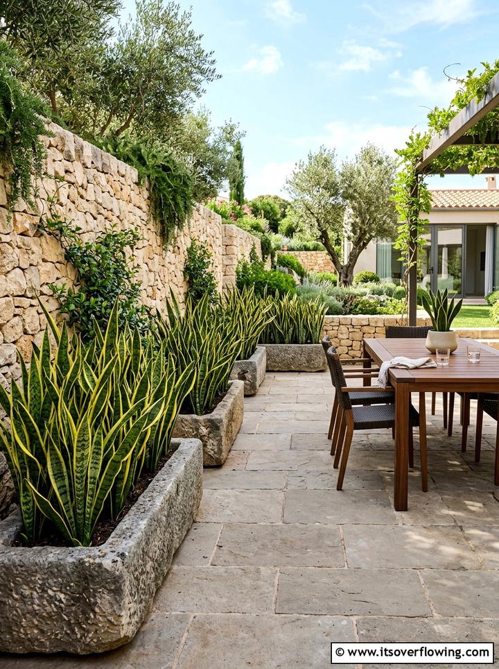 Sansevieria Outdoor Patio Garden - 25 creative garden ideas with sculptural plants
