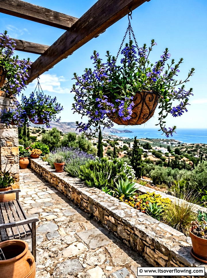 Scaevola Fan Flower - 25 garden ideas with hanging baskets