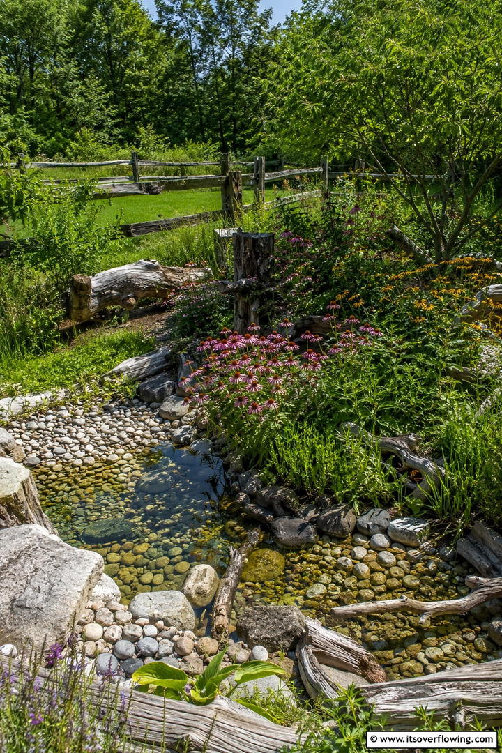 Scenic Backyard Wildlife Garden - 30 Modern Backyard Ideas to Transform Your Outdoor Oasis