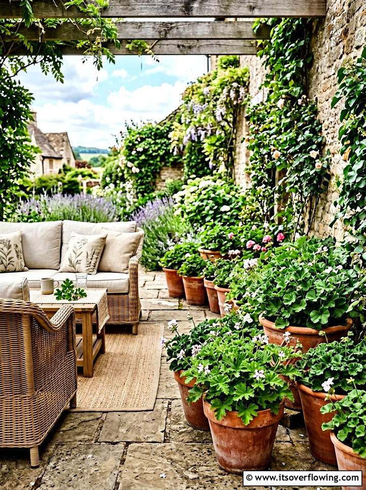Scented geranium patio - 25 creative garden ideas with edible flowers