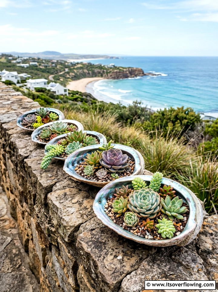 Seashell succulent planter - 25 recycled garden ideas with seashells