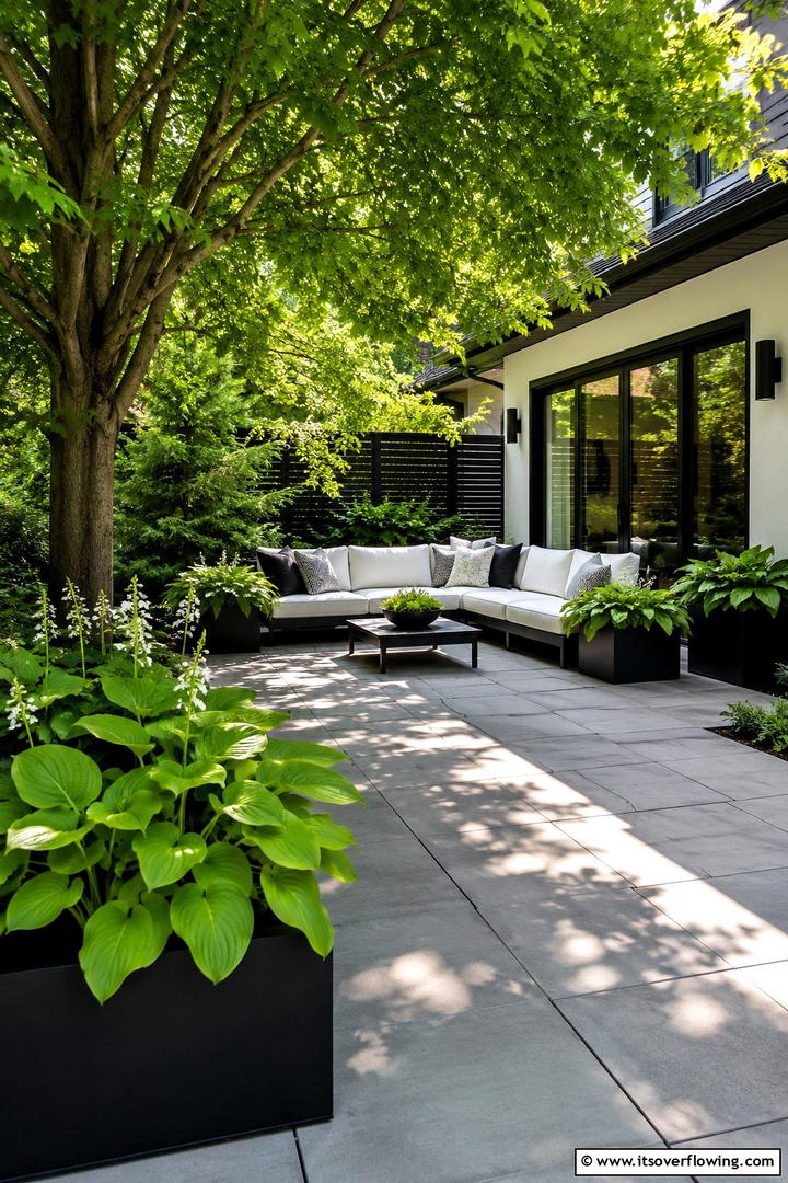 Shaded Patio Sanctuary - 30 Tree Landscaping Ideas for Shade, Privacy, and Curb Appeal