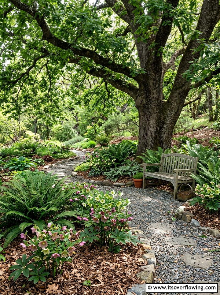 Shady Dry Garden - 25 garden design ideas with drought tolerant plants