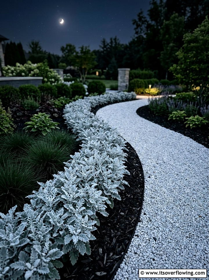 Silver Dusty Miller Border - 25 creative garden ideas with moon gardens