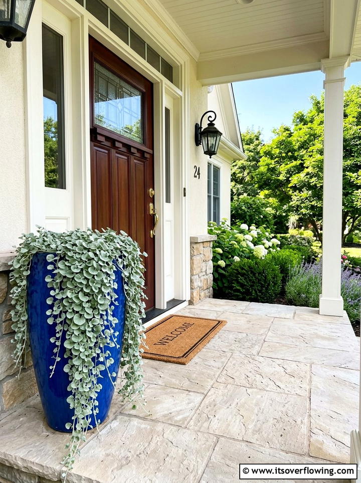 Silver falls dichondra - 25 front porch decor ideas with year round greenery