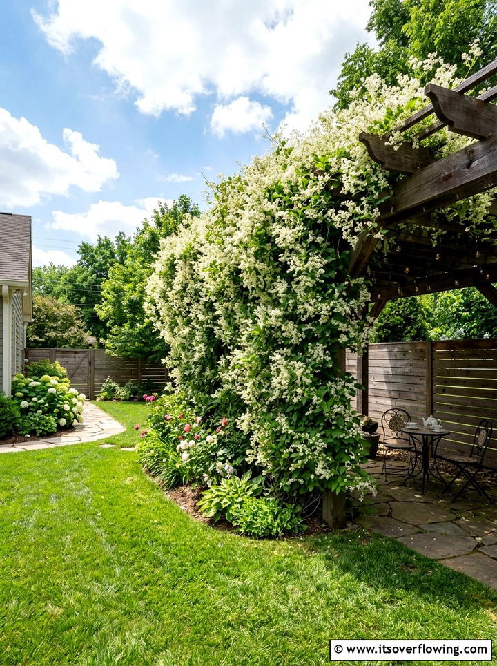 Silver lace vine fast growing screen - 25 creative garden ideas with pergola vines