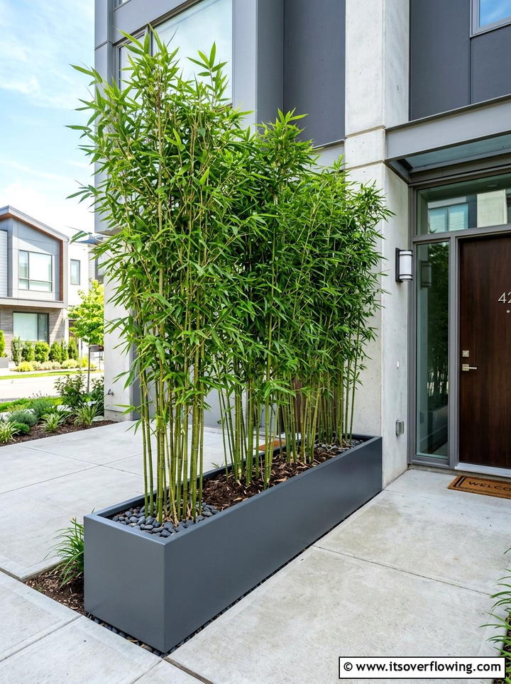 Sleek metal planter with bamboo tree - 25 front porch decor ideas with mini trees