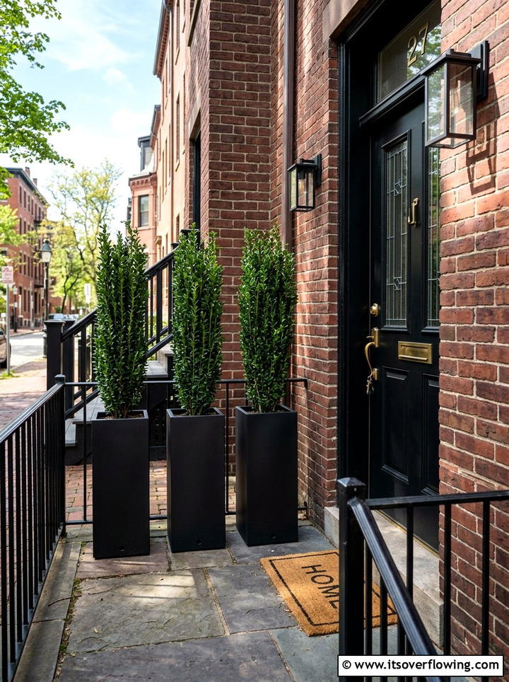 Slim black containers - 25 front porch ideas with tall planters