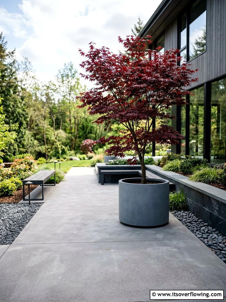 Small Patio Tree - 25 garden ideas for small spaces