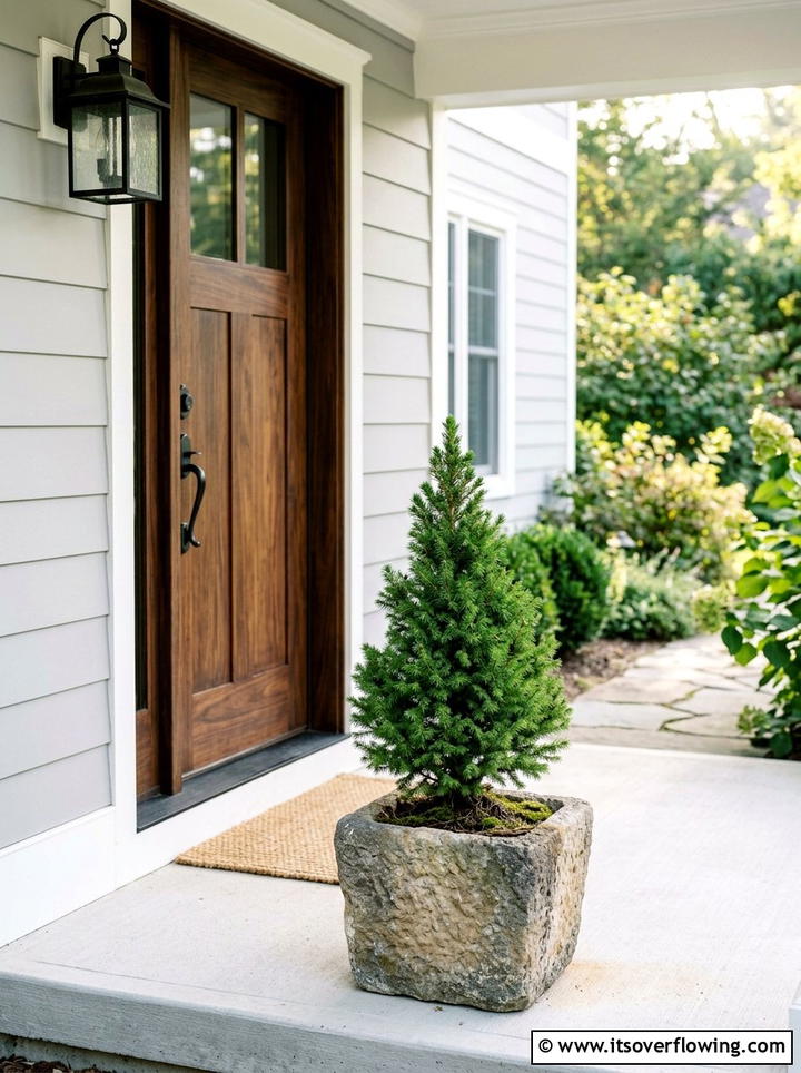 Small potted evergreen tree - 25 front porch decor ideas with mini trees