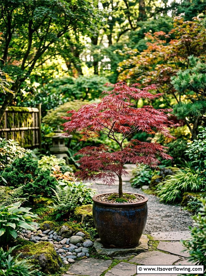 Small tree in pot - 25 small garden ideas for patio