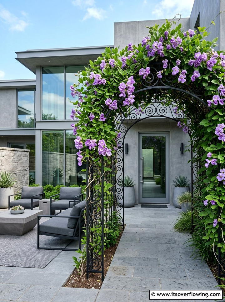 Snail Vine Purple Entrance - 25 front porch ideas with trellis vines
