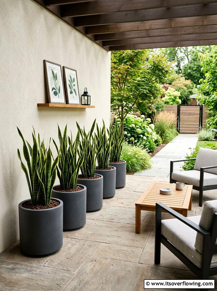 Snake Plant Container - 25 front porch ideas with real plants