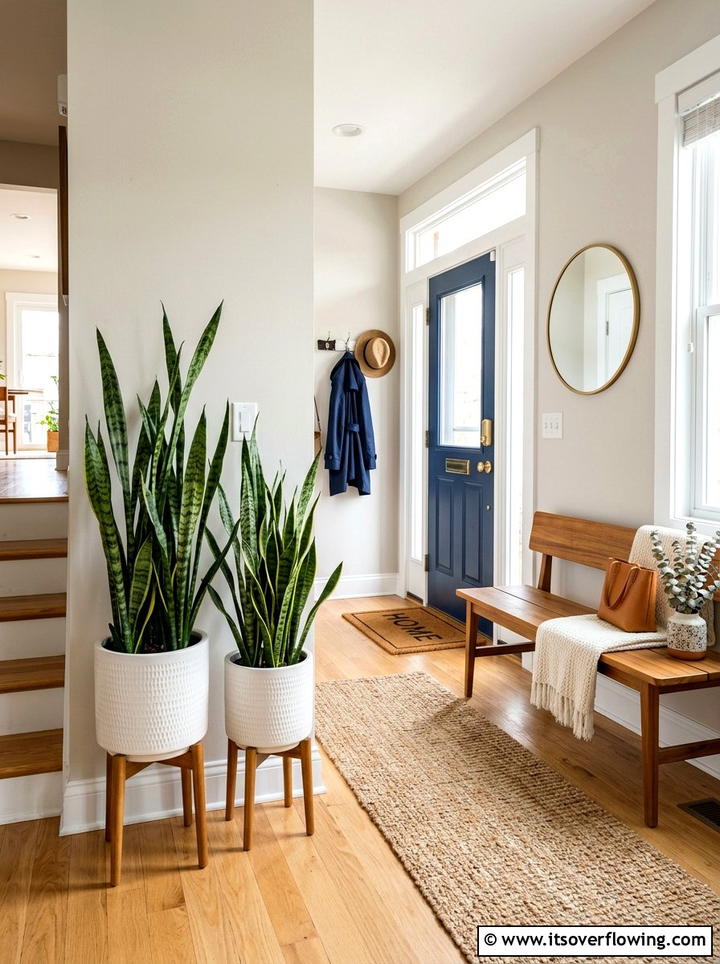 Snake Plant In Ceramic Pots - 25 front porch ideas with low maintenance plants