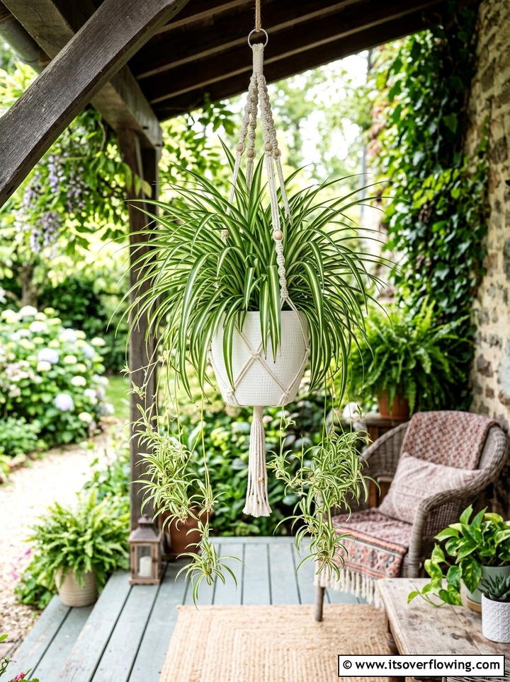 Spider Plant Hanging Pot - 25 front porch ideas with shade plants