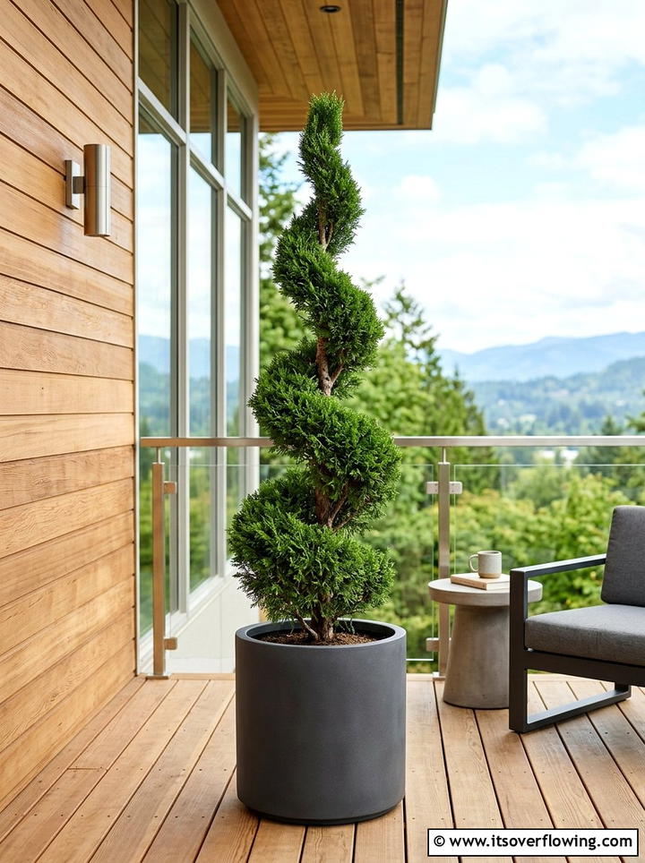 Spiral juniper topiary - 25 front porch ideas with topiaries