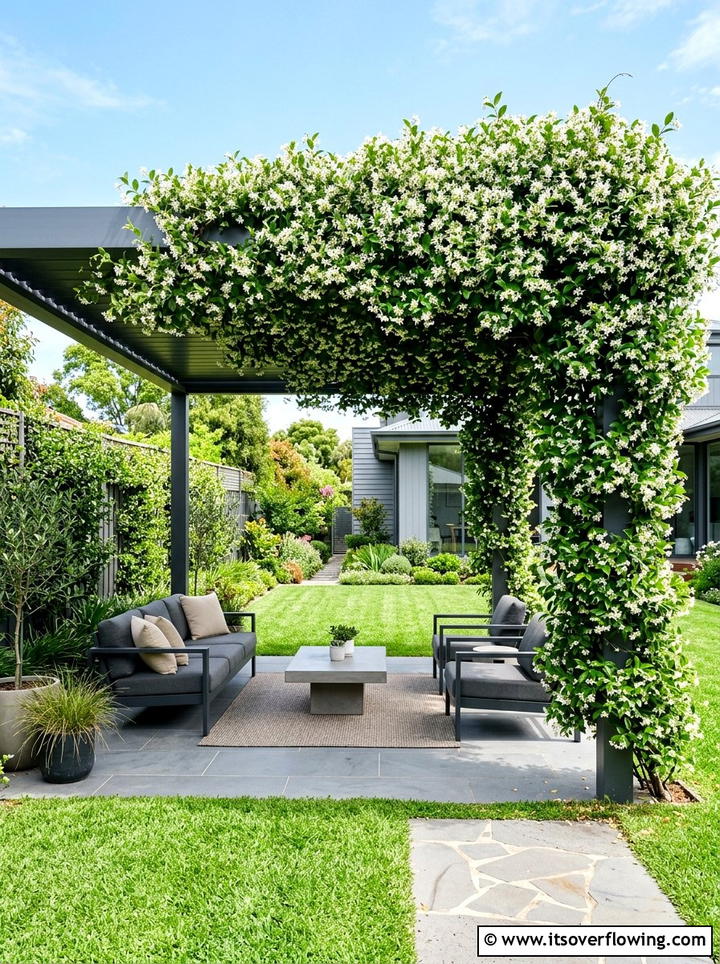 Star jasmine white flower garden - 25 creative garden ideas with pergola vines