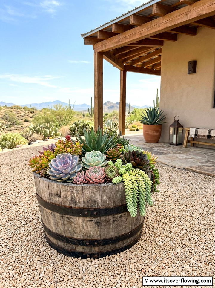 Succulent barrel porch garden - 25 front porch ideas with barrel planters